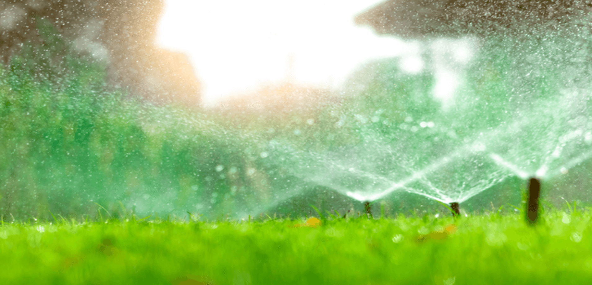 Tips You Must Know For Sprinkler System Maintenance
