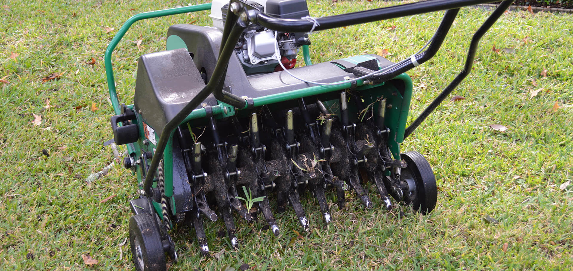 Aerating your lawn: why and when you should do it