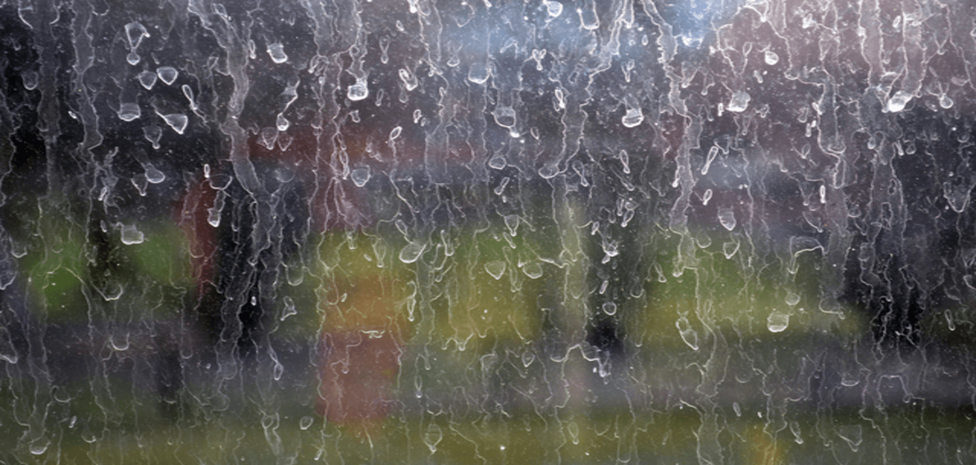 How often should you wash your windows?