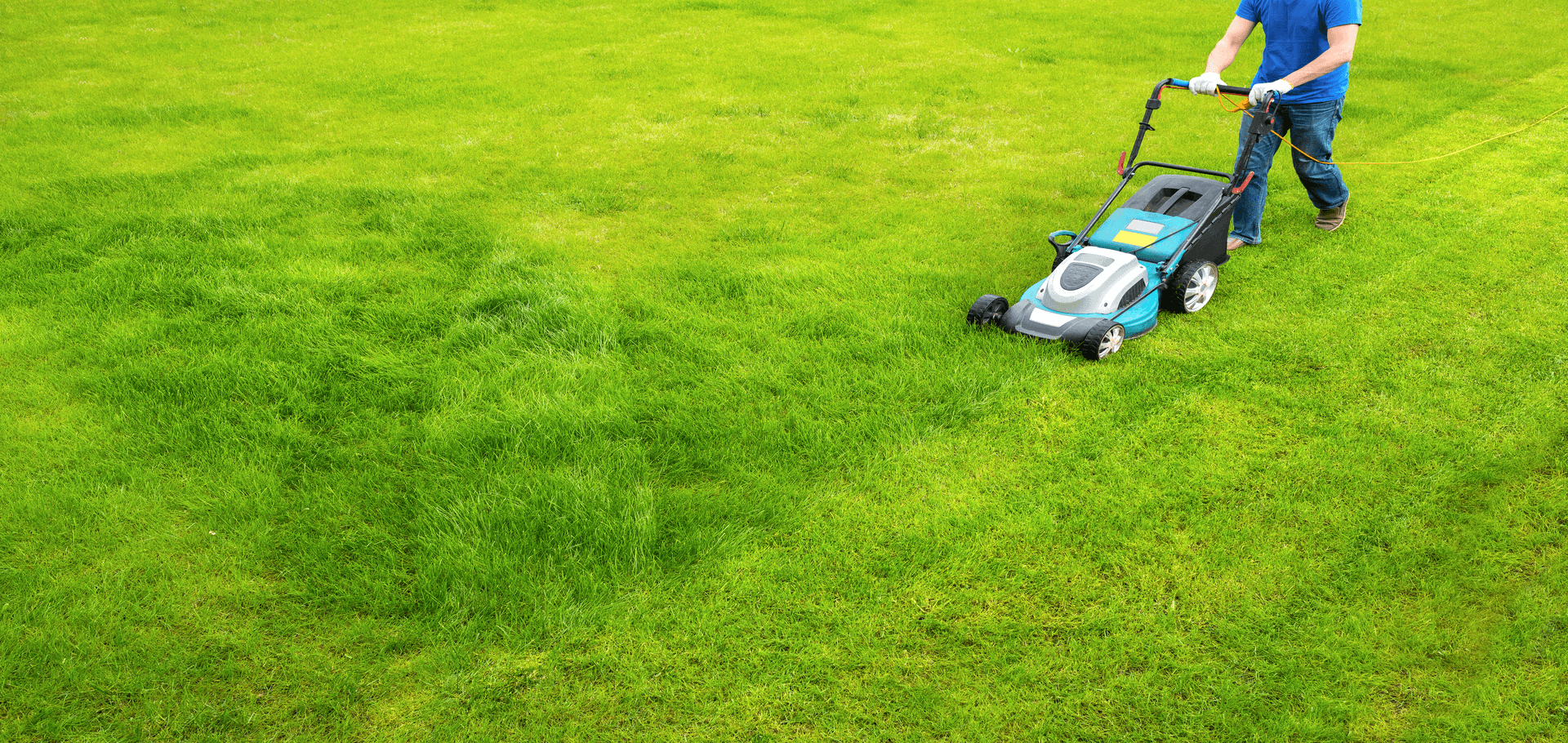 Diy lawn care tips for homeowners