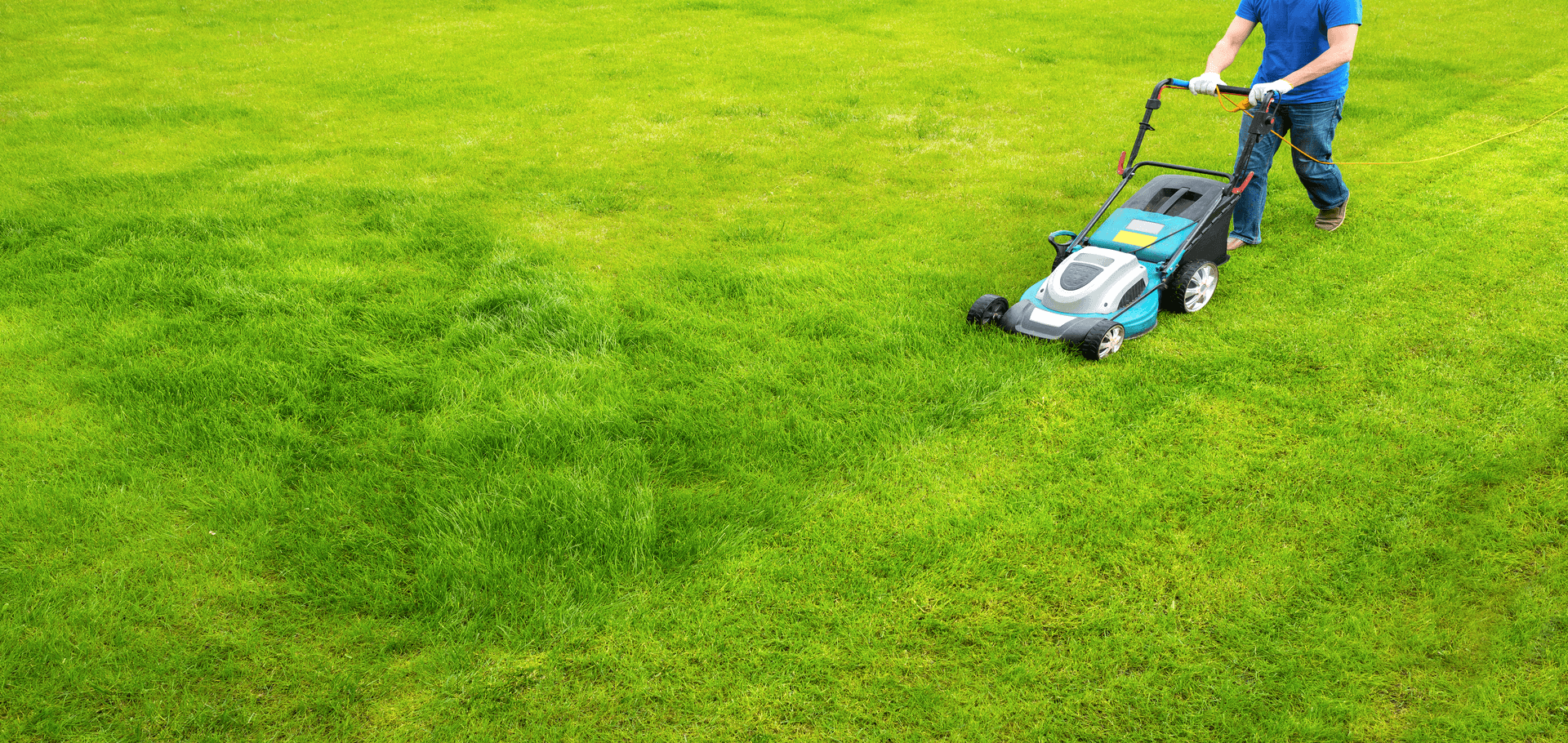 DIY Lawn Care Tips For Homeowners Chorbie Home Services