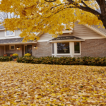 Fall landscaping checklist