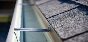 How a gutter cleaning service prevents bugs