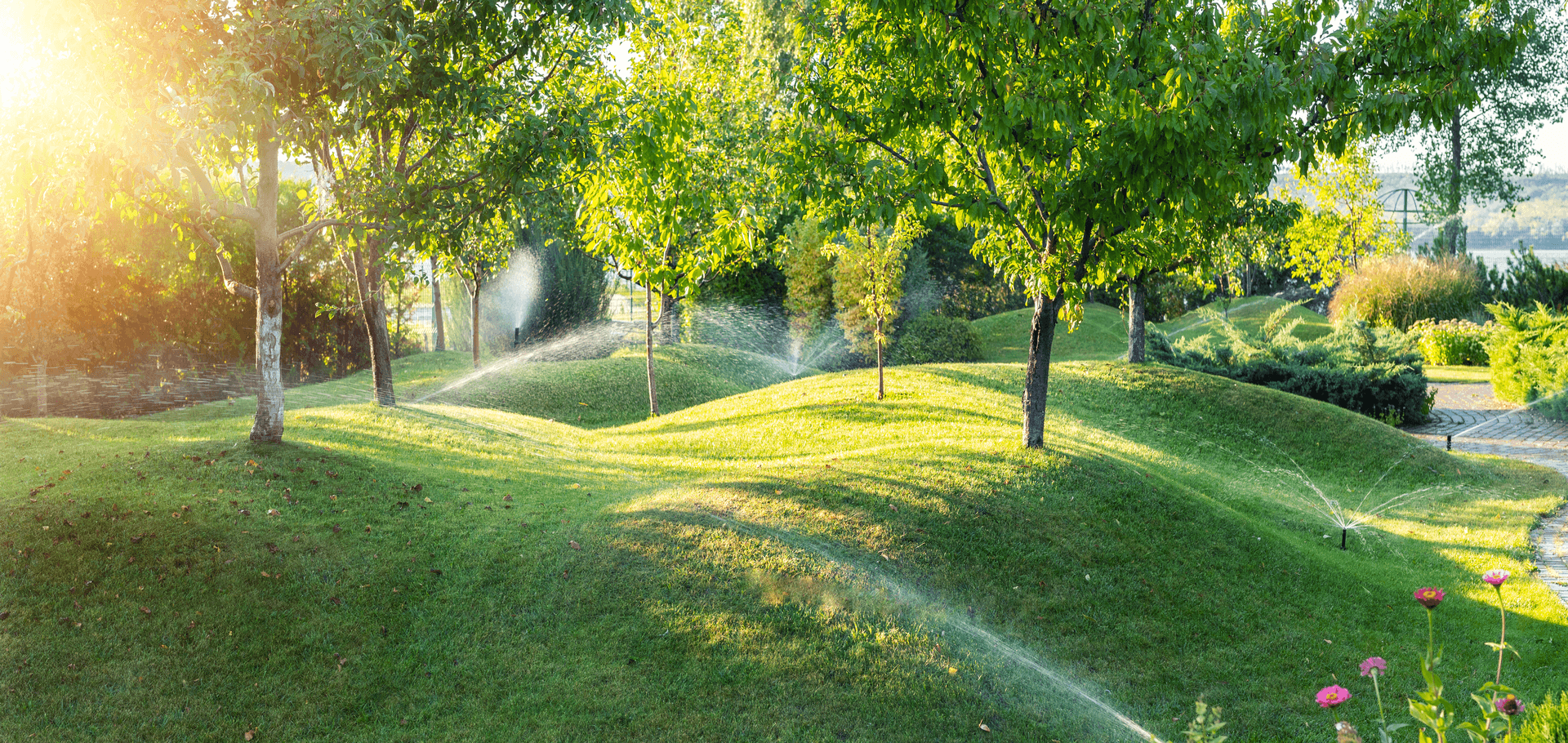 Irrigation management for the summer
