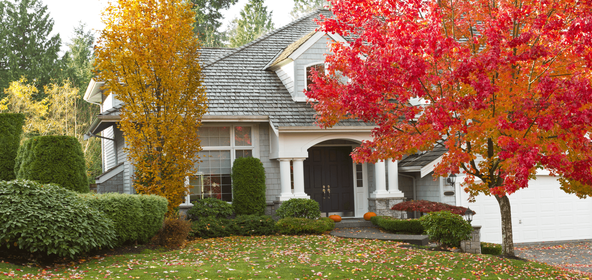 How to care for your lawn in the fall