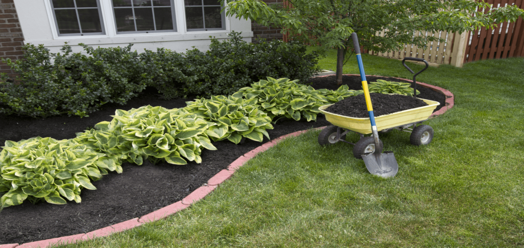 What Color Mulch Is Best For Your Garden? - Chorbie Home Services