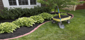 What color mulch is best for your garden?