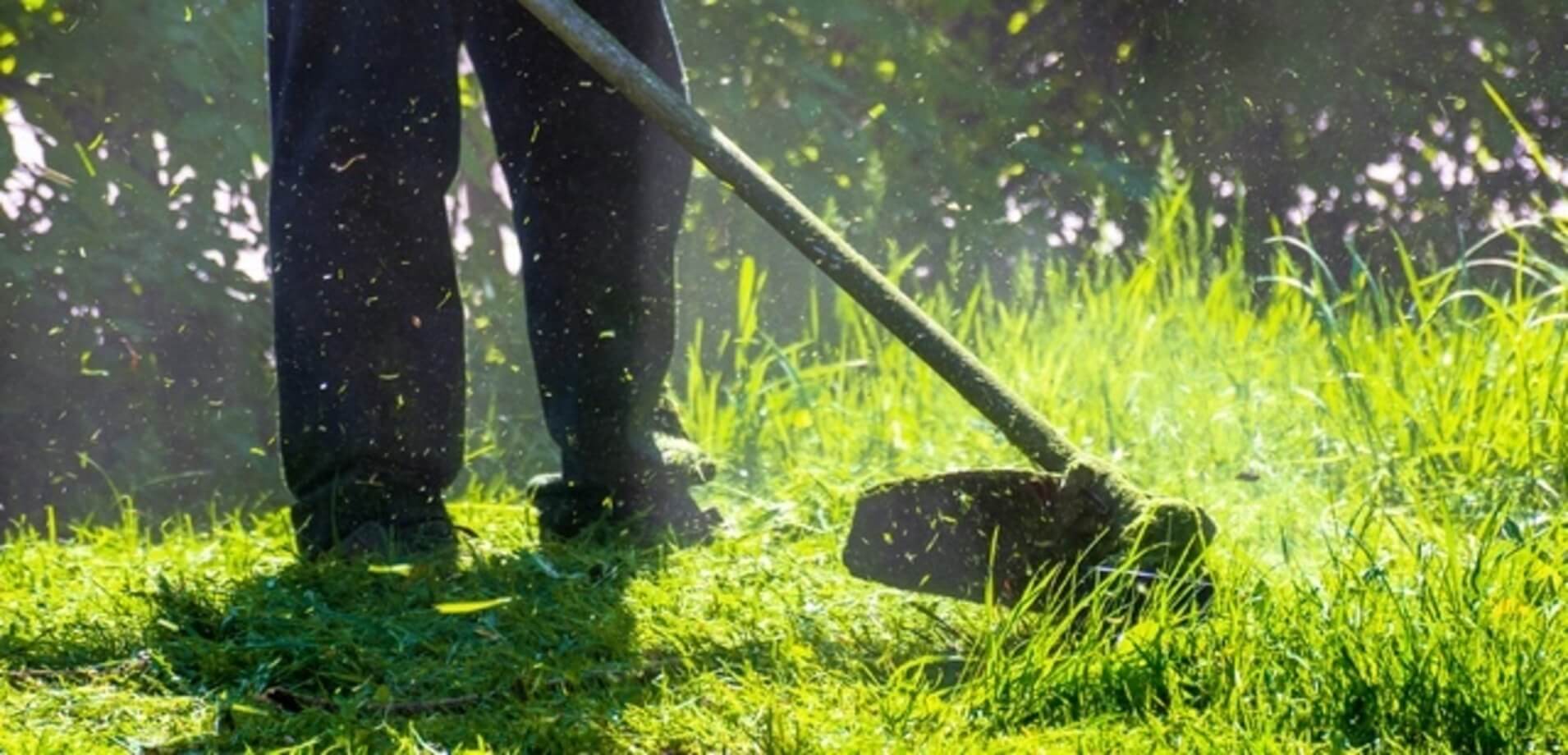 Choosing the right lawn service provider
