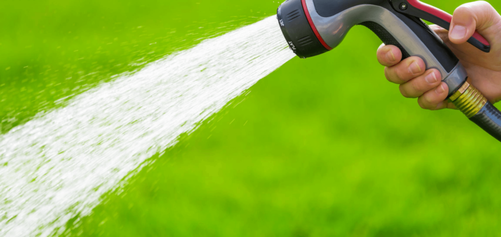 Best Tips For Watering Your Lawn - Chorbie Home Services