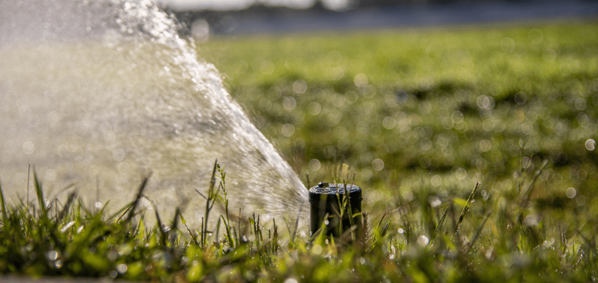 What season should you stop irrigation?