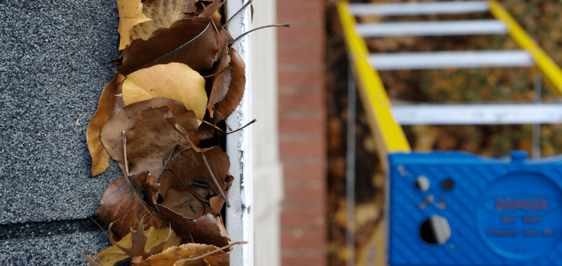 Why Fall Gutter Cleaning Is Important