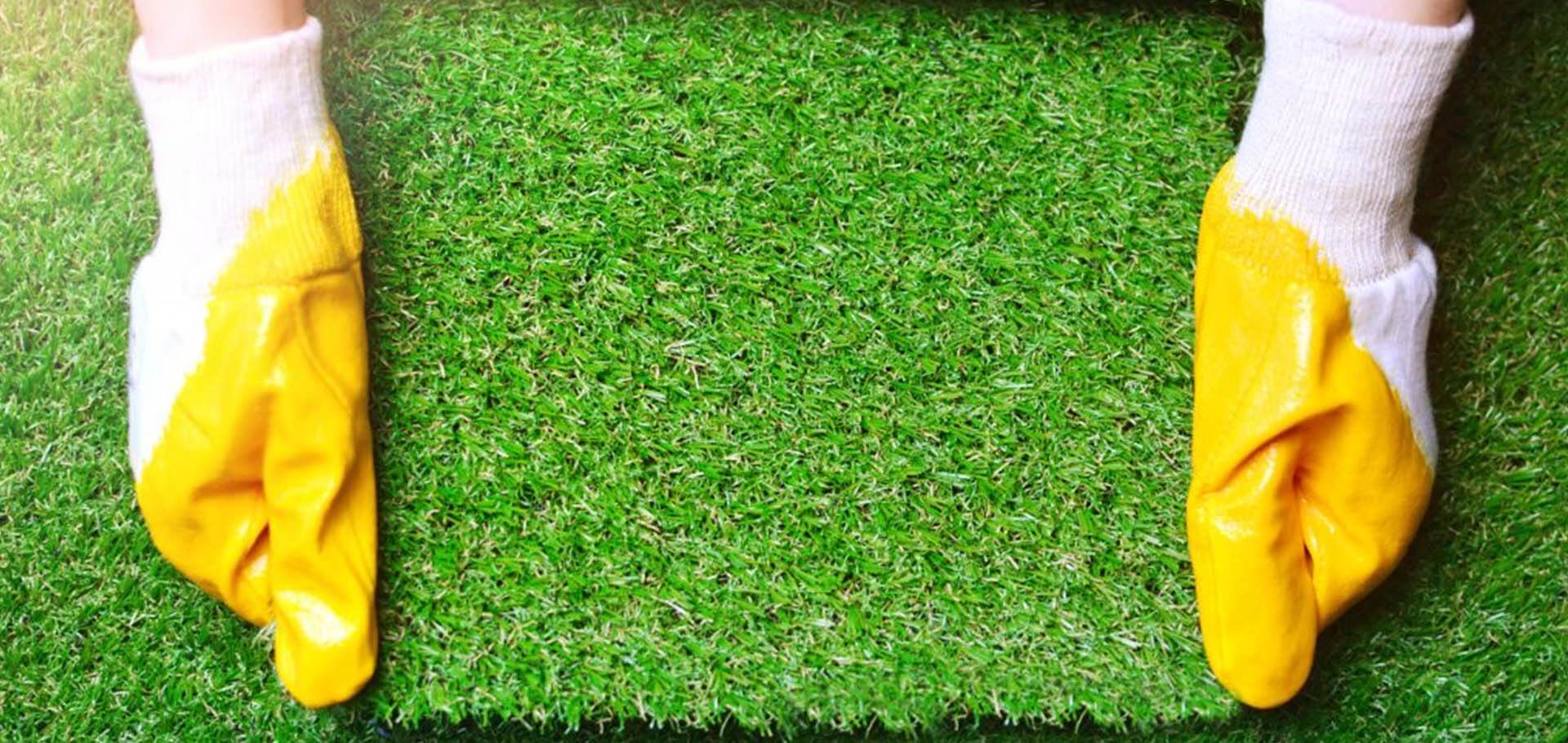 The Benefits Of Installing Sod In North Texas