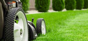 How to get a healthy lawn