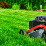 Can You Mow Your Lawn After Fertilizing?