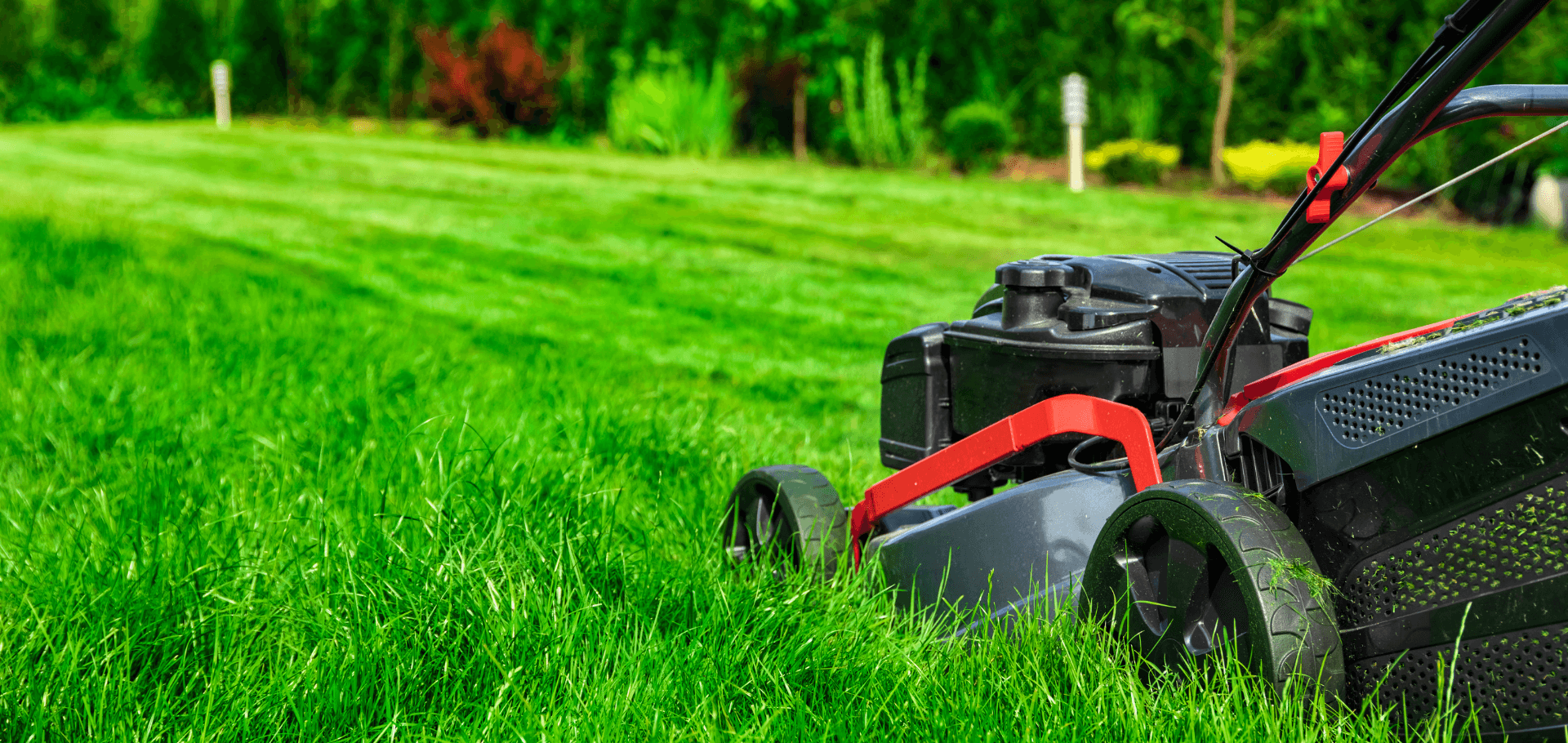 Can You Mow Your Lawn After Fertilizing?