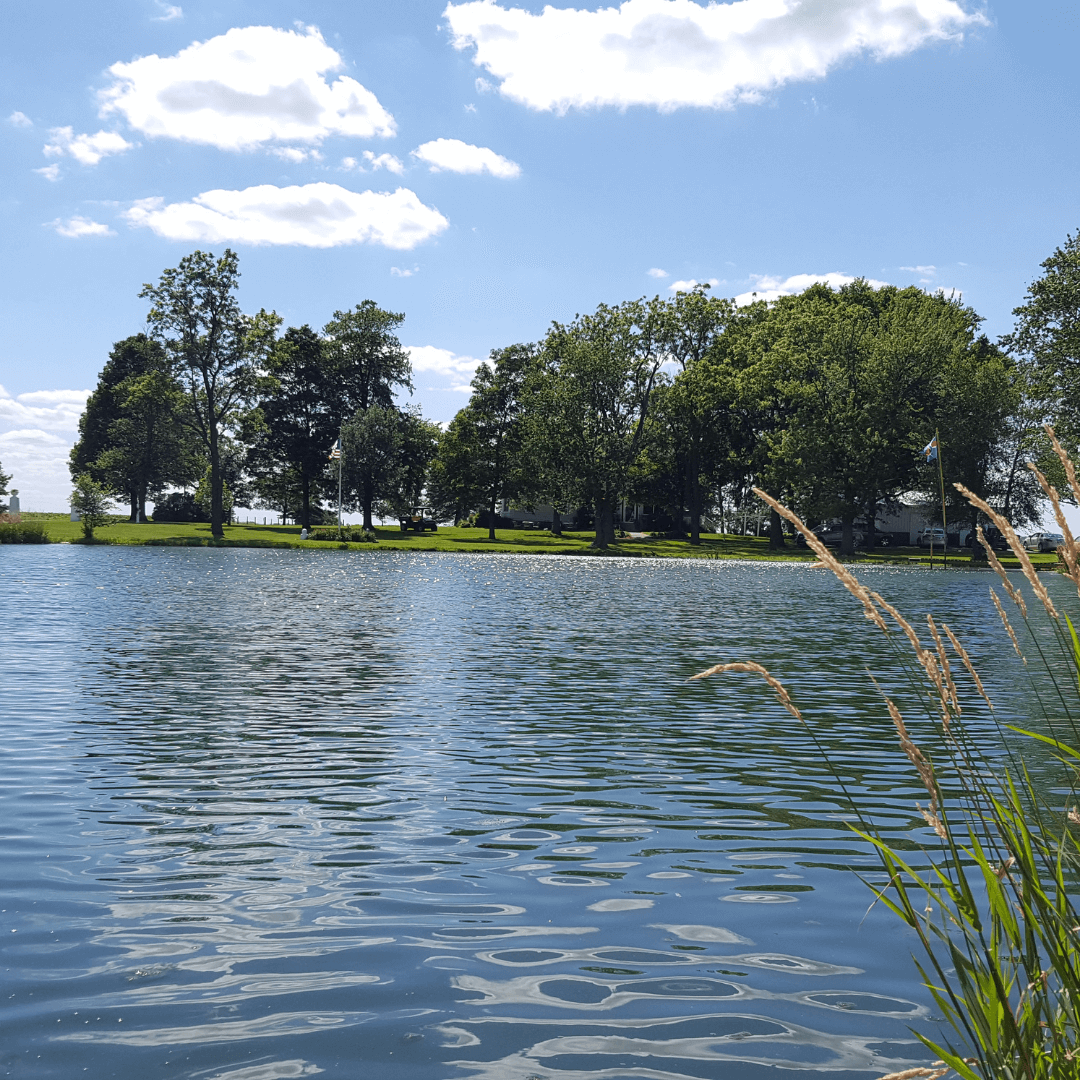 South Lakes Park​