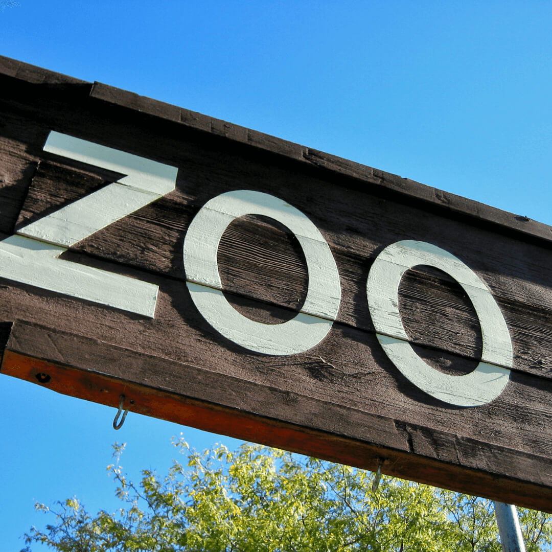 The Gentle Zoo